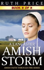 A lancaster amish storm - book 3 cover image