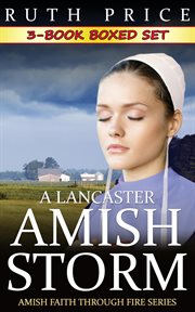 A Lancaster Amish storm cover image