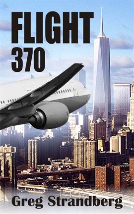 Cover image for Flight 370