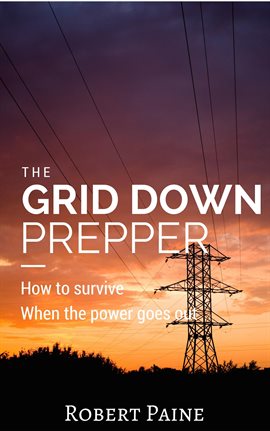 Cover image for The Grid Down Prepper: How to survive when the power goes out