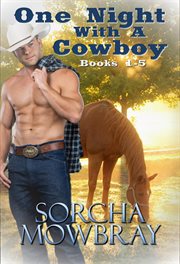 One night with a cowboy. Books 1-5 cover image
