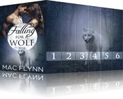 Falling for a wolf box set. Books #1 - 6 cover image