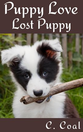 Cover image for Puppy Love Lost Puppy
