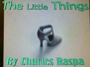 The little things cover image