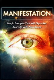 Manifestation : Magic Principles That Will Skyrocket Your Life With Abundance. Manifestation, Visualization, and Law of Attraction Collection cover image