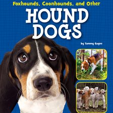Cover image for Foxhounds, Coonhounds, and Other Hound Dogs