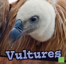 Cover image for Vultures