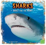 Sharks. Built for the Hunt cover image