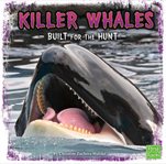 Killer whales : built for the hunt cover image