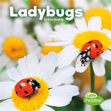 Imagen de portada para Ladybugs