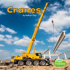 Cover image for Cranes