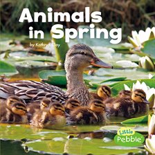 Cover image for Animals in Spring