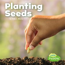 Cover image for Planting Seeds