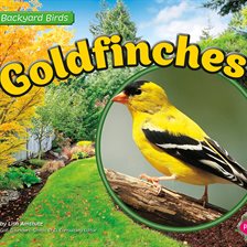 Umschlagbild für Goldfinches