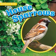 Imagen de portada para House Sparrows