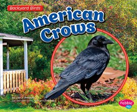 Cover image for American Crows