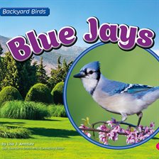 Cover image for Blue Jays