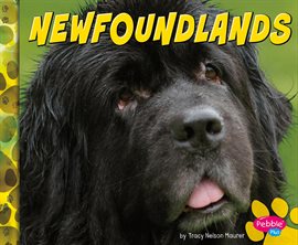 Cover image for Newfoundlands