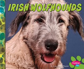 Imagen de portada para Irish Wolfhounds