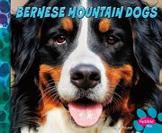 Bernese mountain dogs cover image