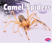 Camel spiders cover image