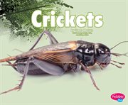 Crickets cover image