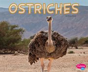 Ostriches cover image
