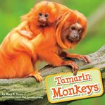 Tamarin monkeys cover image