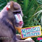 Mandrill monkeys cover image