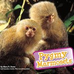 Pygmy marmosets cover image