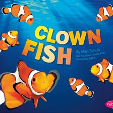 Cover image for Clown Fish