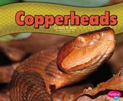 Copperheads cover image