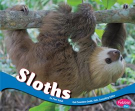 Cover image for Sloths