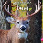 White-tailed deer cover image