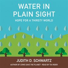 Cover image for Water In Plain Sight