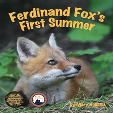 Cover image for Ferdinand Fox's First Summer