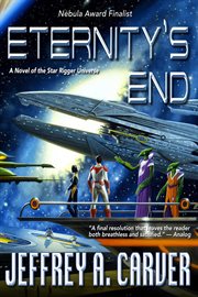 Eternity's end : a novel of the Star rigger universe cover image
