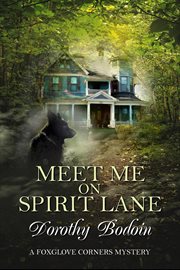 Meet Me on Spirit Lane cover image