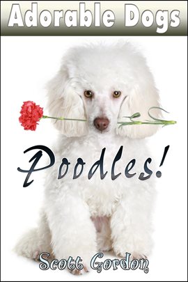 Cover image for Adorable Dogs: Poodles