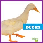 Ducks cover image