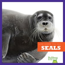 Cover image for Seals