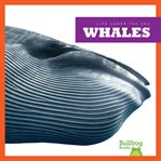 Whales cover image