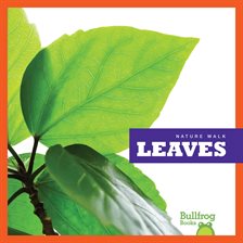 Cover image for Leaves