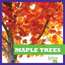 Cover image for Maple Trees