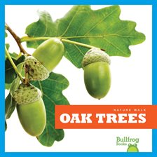 Cover image for Oak Trees