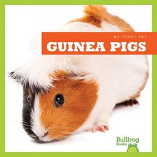 Cover image for Guinea Pigs