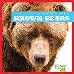 Brown bears cover image