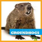 Groundhogs cover image