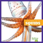 Squids cover image