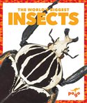The world's biggest insects cover image